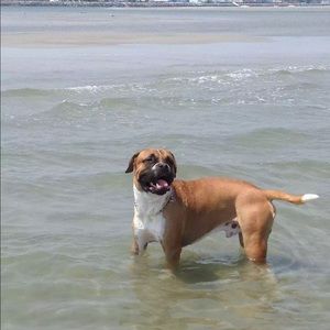 Meet your Posher, Christine